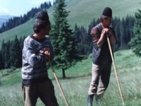 Bătaie între ciobani la Sechereşa Bătaie între ciobani la Sechereşa