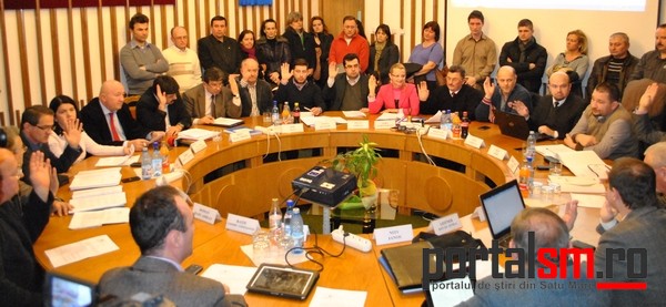 Consiliul Local (13)