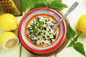 Risotto with nettles and lemon