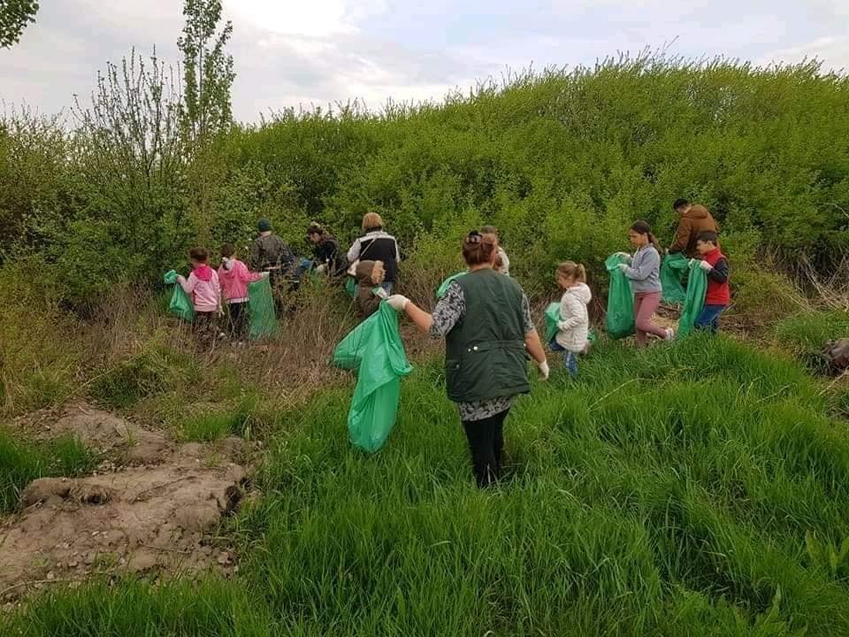 FOTO. ”Curățăm România”: Satu Mare în top. S-au strâns 12.000 de kilograme de deșeuri thumbnail