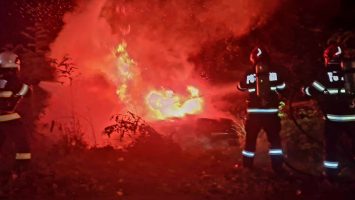 accident Satu Mare