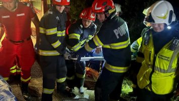 accident Micula