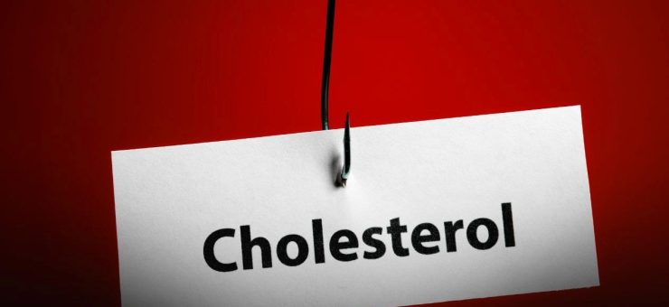 colesterolul