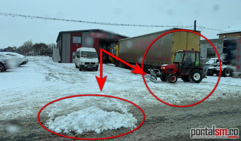 deszapezire Satu Mare