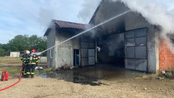 incendiu hala